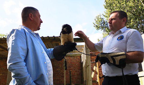 York Bird of Prey Centre