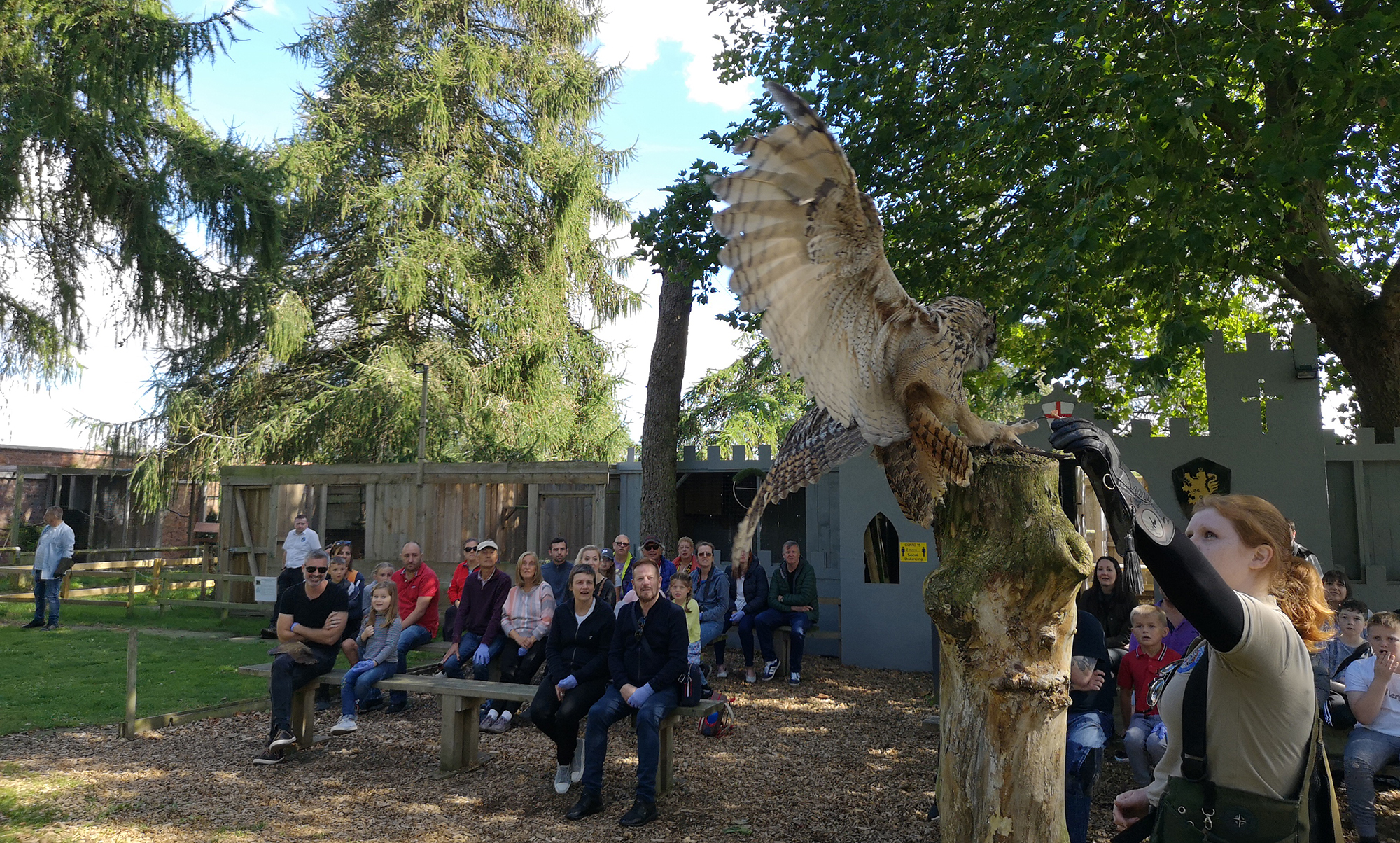 YORK BIRD OF PREY CENTRE - Burn Hall Tollerton Road, Huby, North Yorkshire,  United Kingdom - Zoos - Phone Number - Yelp